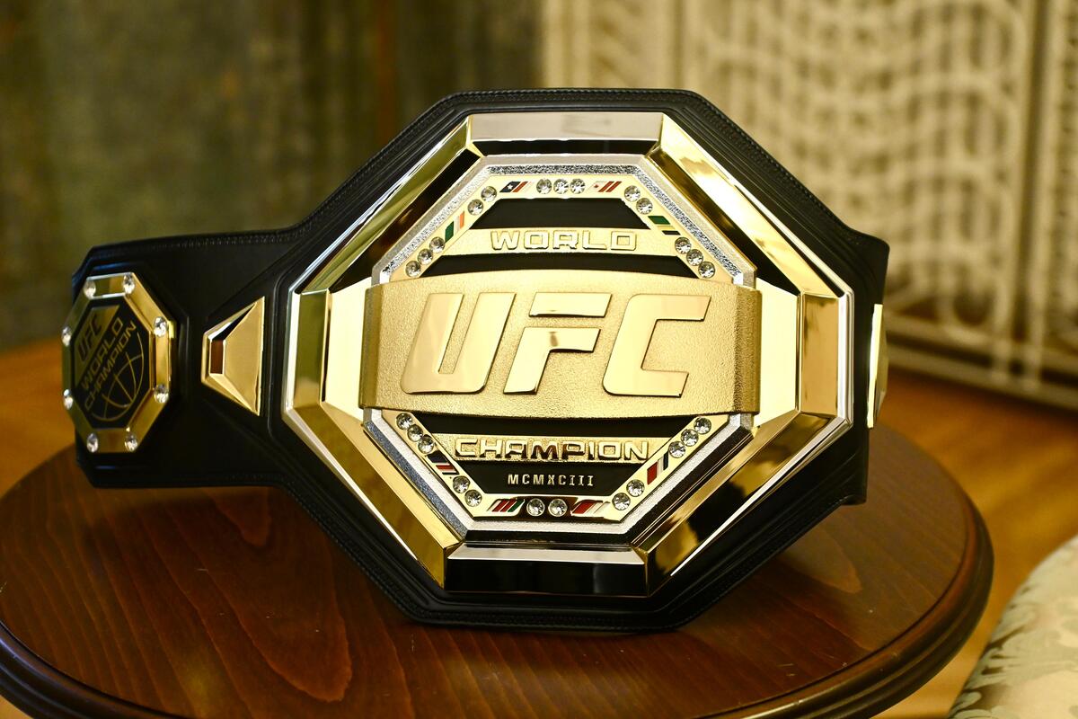 Aleksandar Vučić UFC Dejna Vajt (2).jpeg