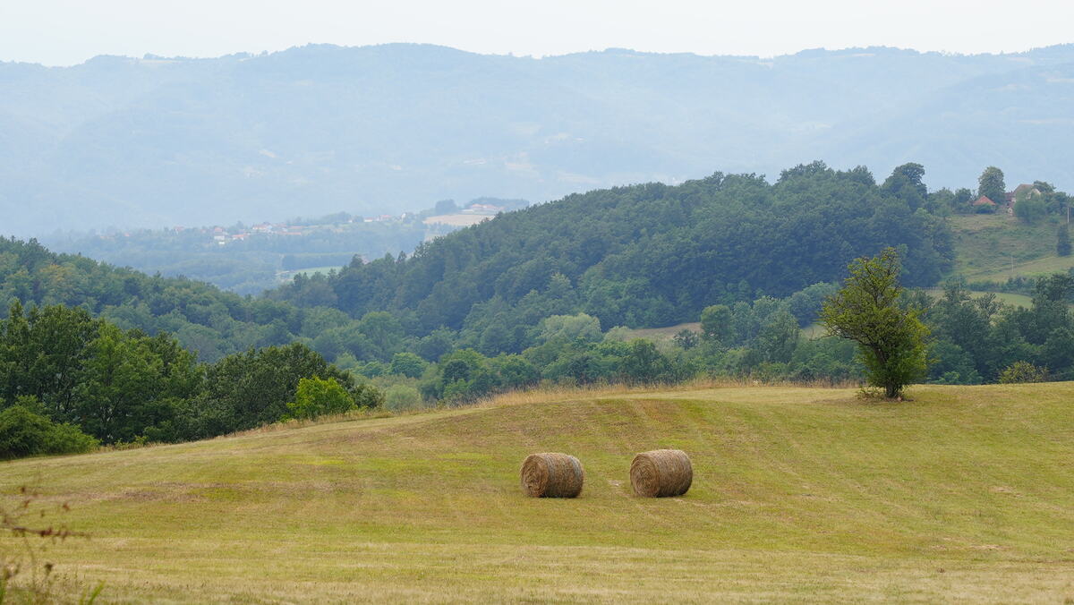 kosjeric-selo-musicicci-fotorina1.JPG