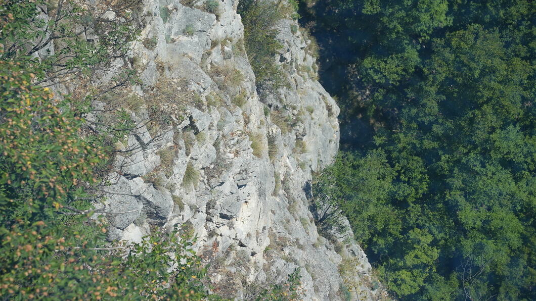 DSC09790.jpeg