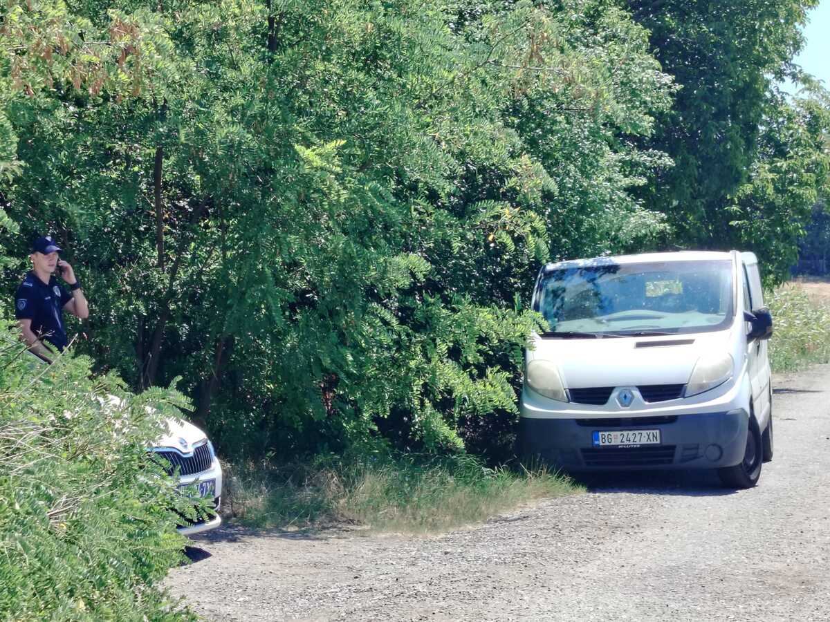 azil za pse Batajnica (1).jpeg