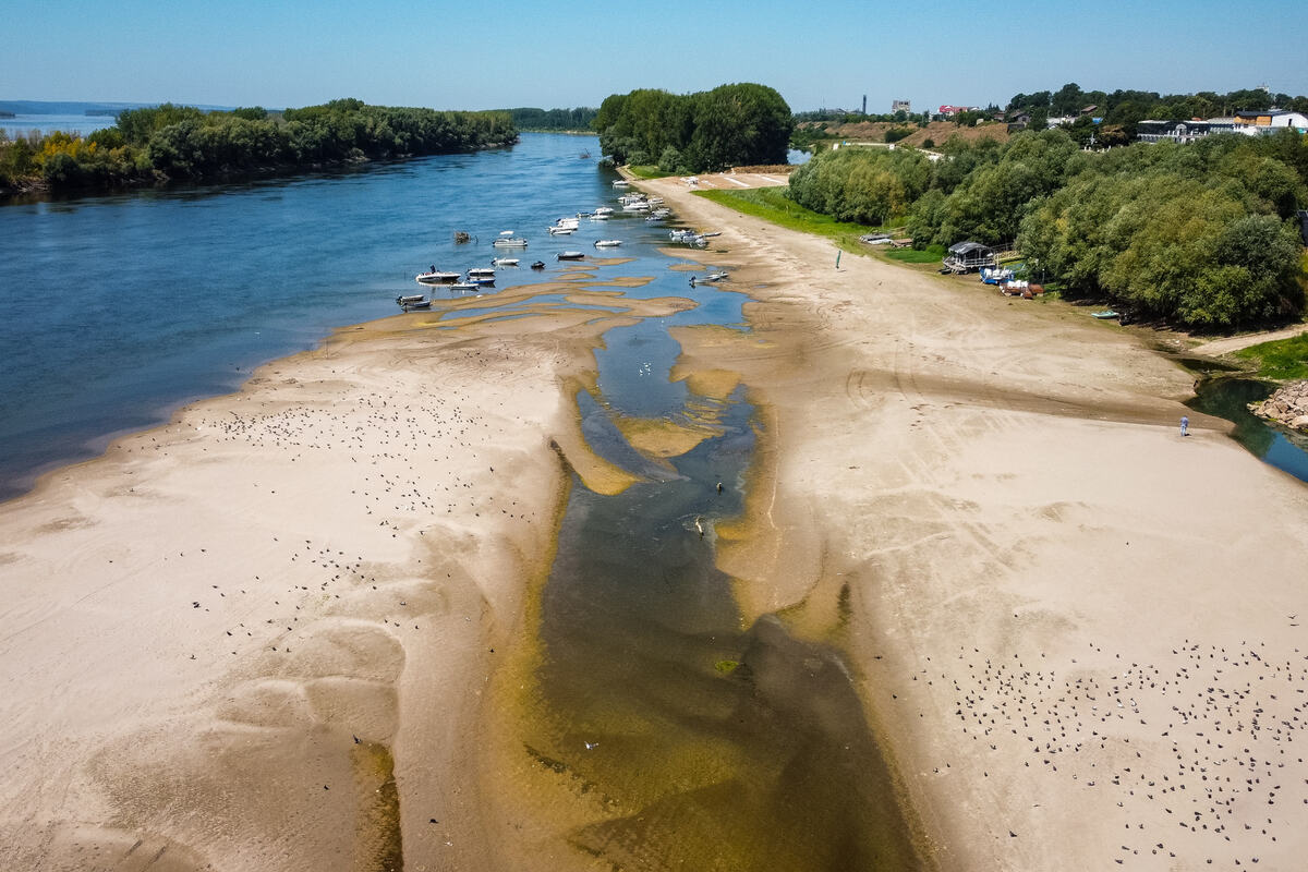 Dunav mulj sprudovi
