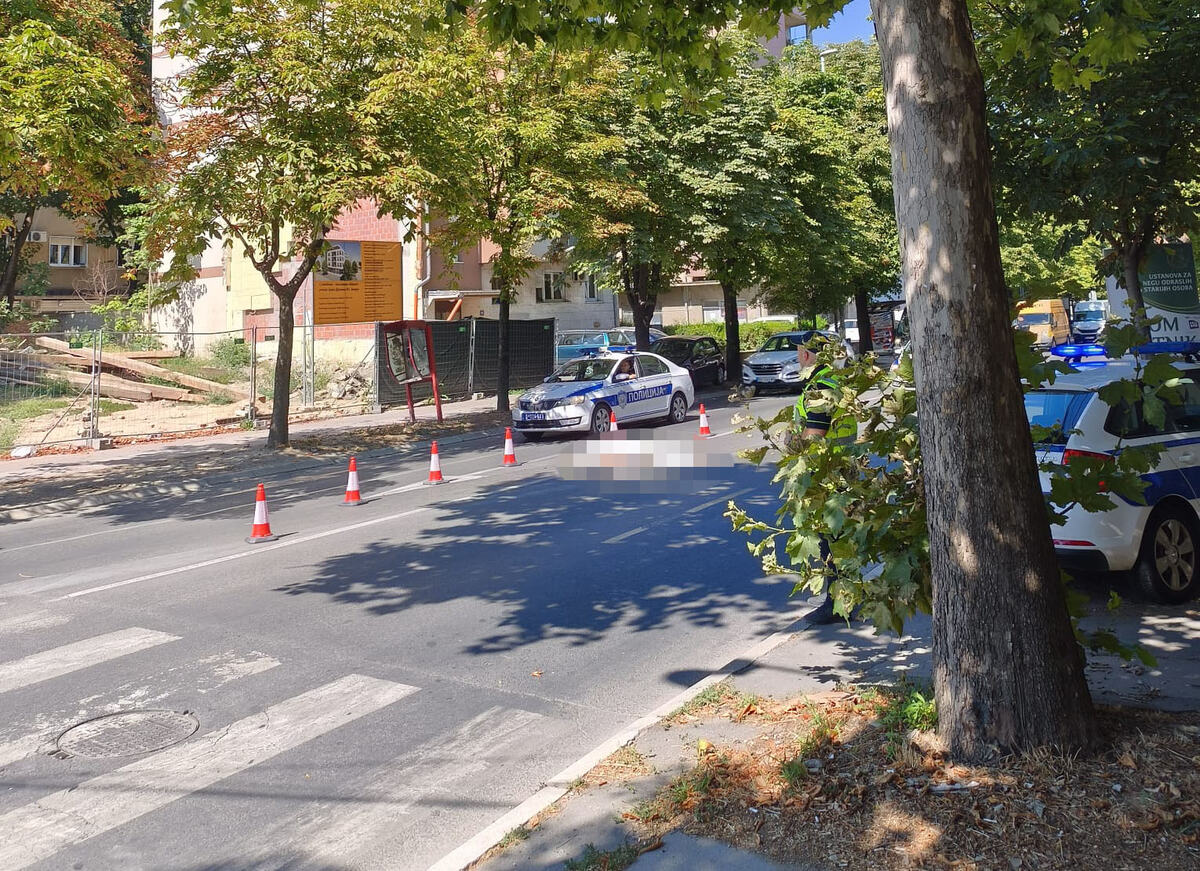 Zemun (3).jpeg