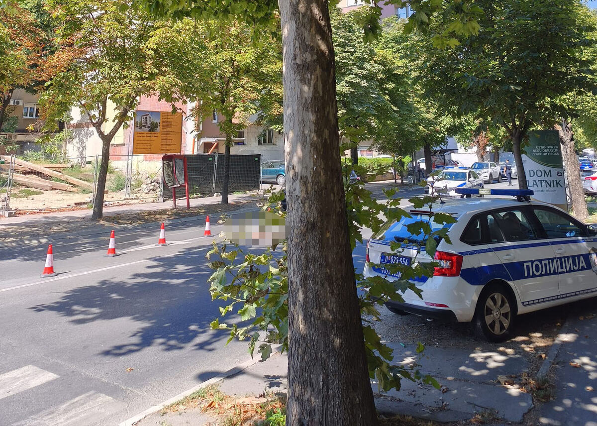 Zemun (4).jpeg