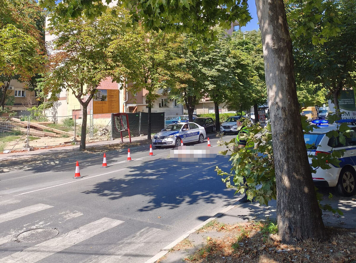 Zemun (5).jpeg