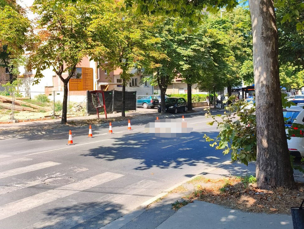 Zemun (6).jpeg