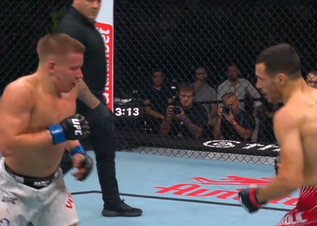 Borislav Nikolić, UFC