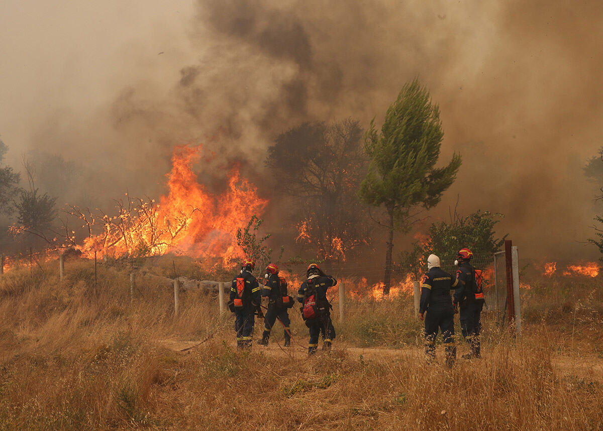 Grčka požar Nea Dafni Megara (14).jpg