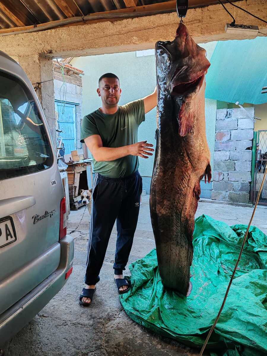 Igor Škodrić sa ilovom od 95 kg
