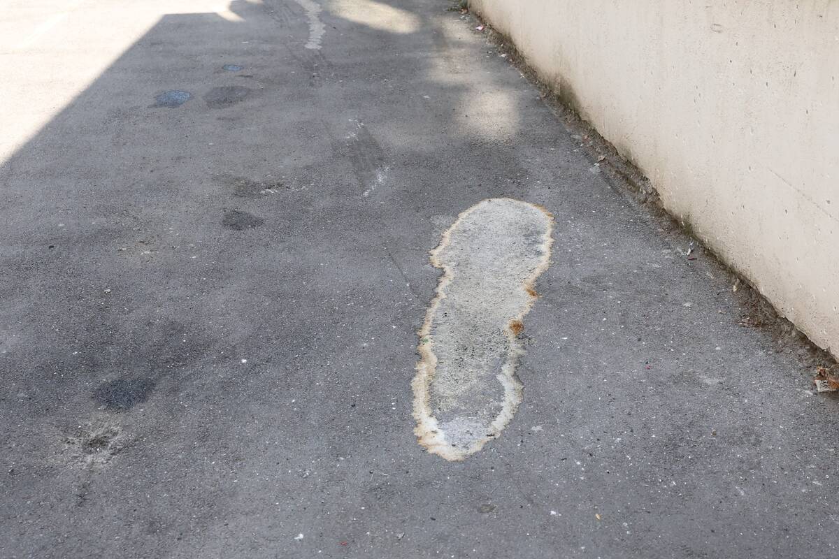 Zvezdara  bomba eksplozija (4).jpeg