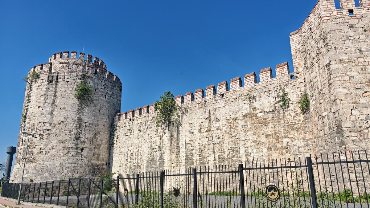 IMG_20260519_092034.jpg