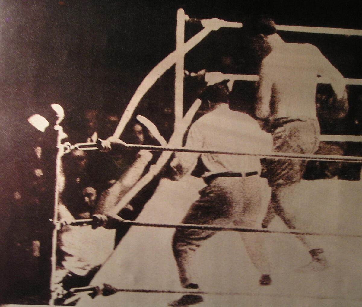 Luis Anhel Firpo