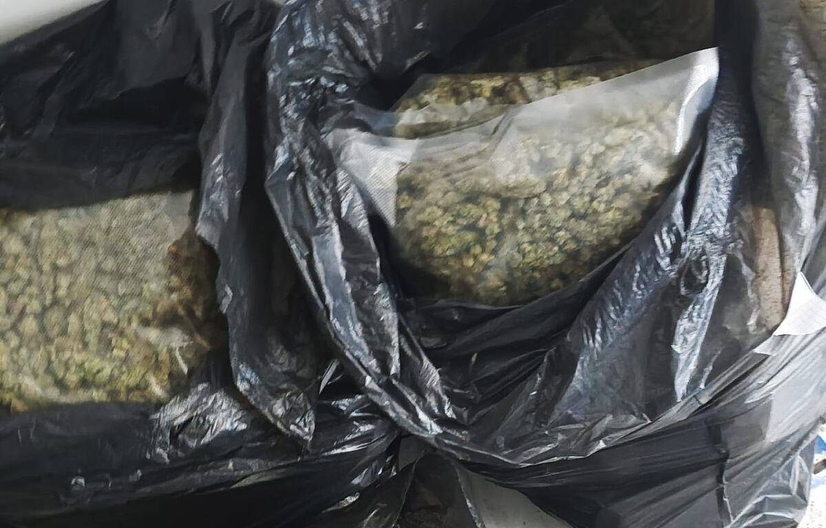 droga Smederevo (4).jpeg