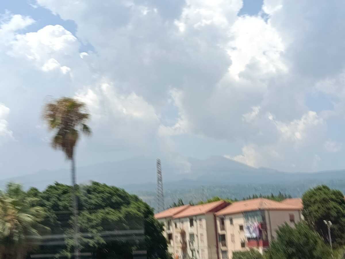 WhatsApp Image 2026-08-07 at 19.33.42 (2).jpeg