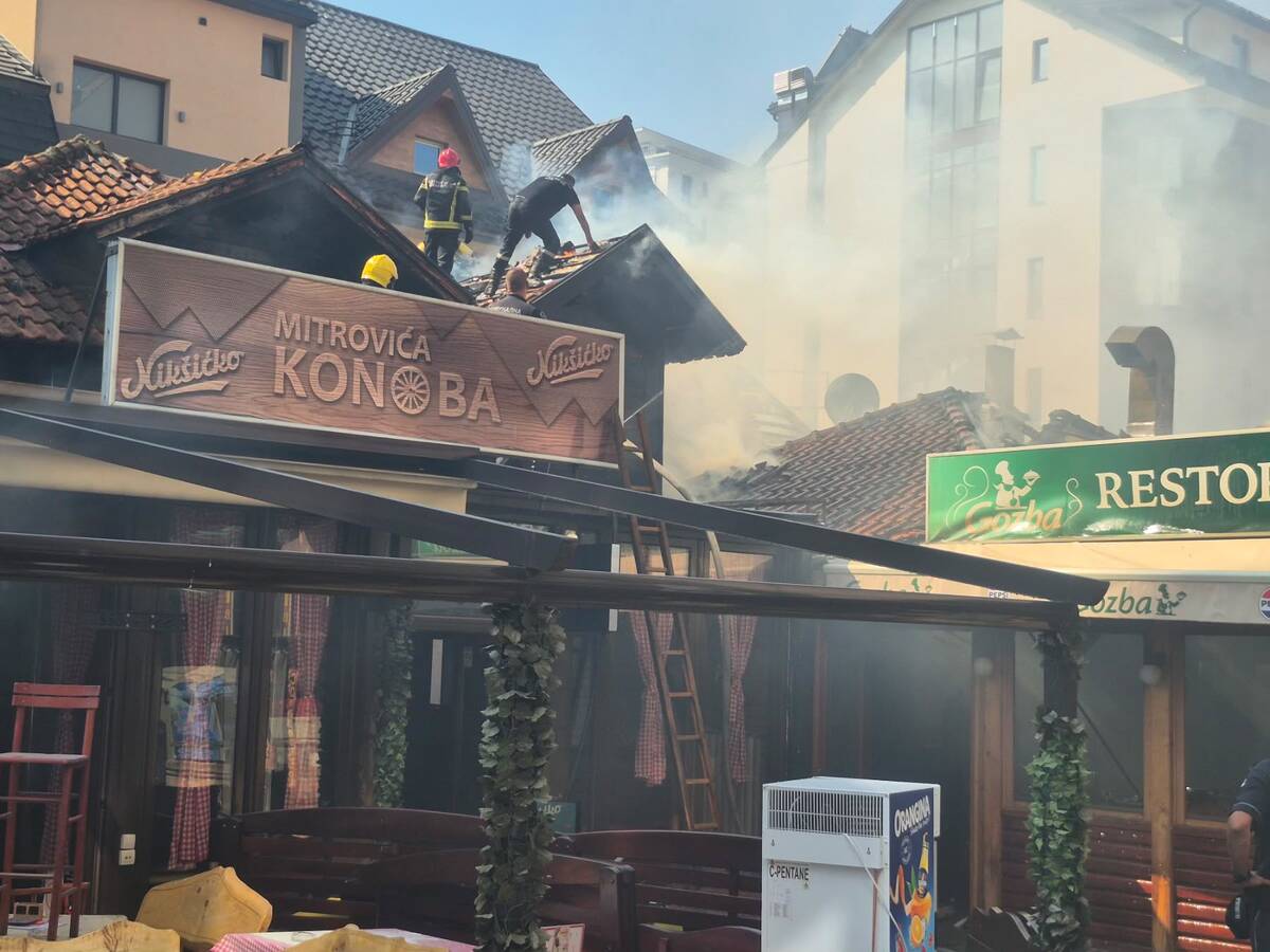 Požar Zlatibor (3).jpeg