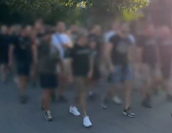 Grobari, CSKA, PArtizan