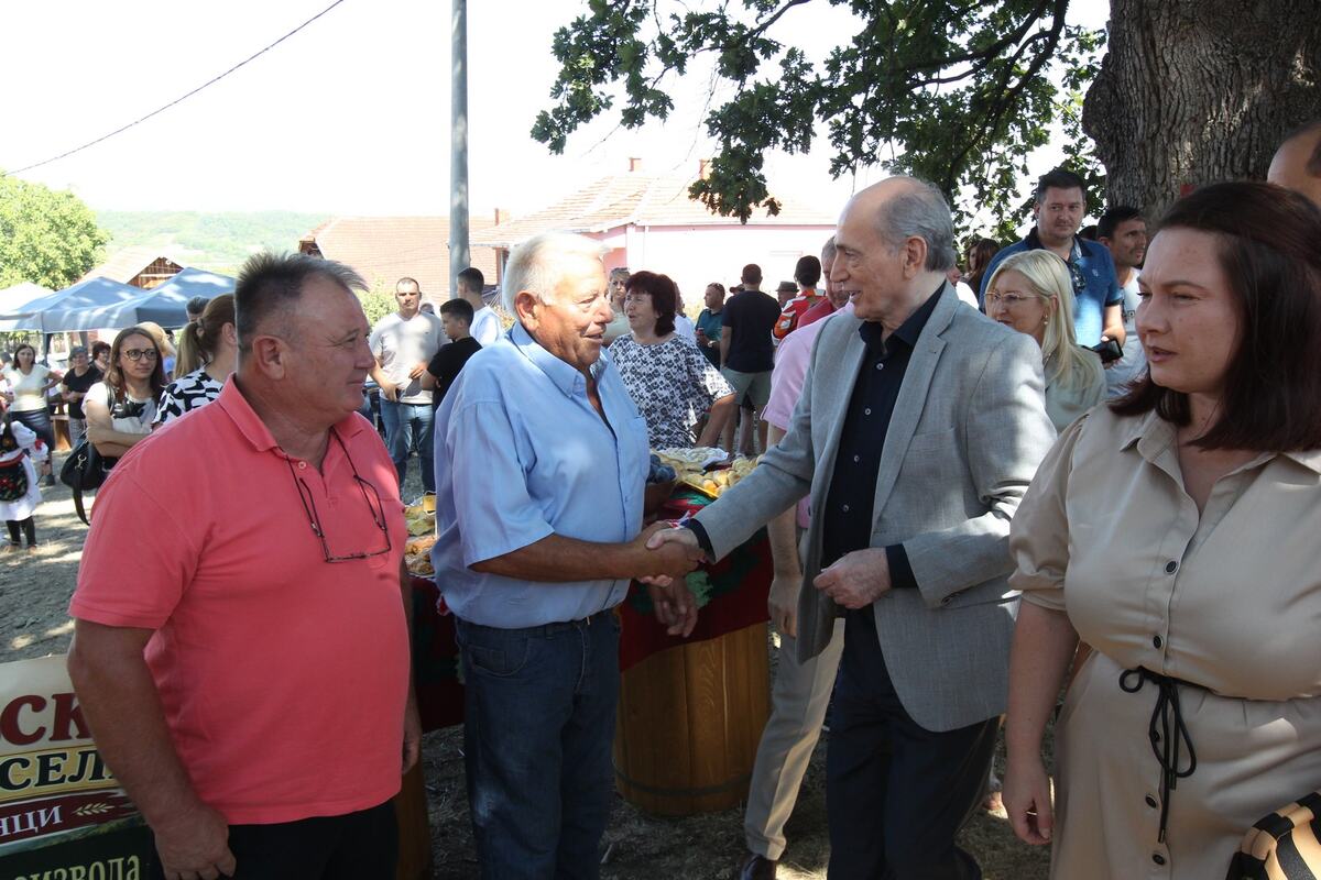 Milan Krkobabić Aleksandrovac (9).JPG