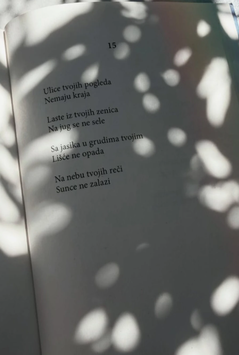 Snimak ekrana 2026-08-16 214318.png