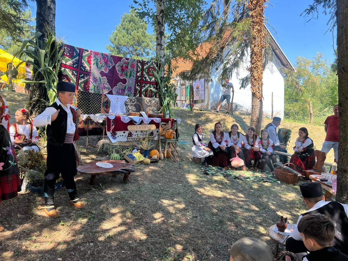 selo Brezovica Čačak  (7).jpeg