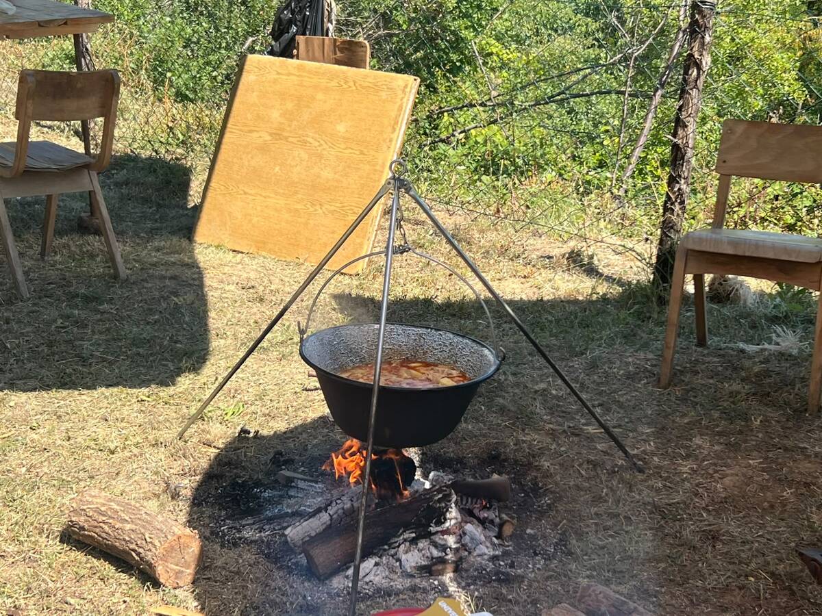 selo Brezovica Čačak  (9).jpeg