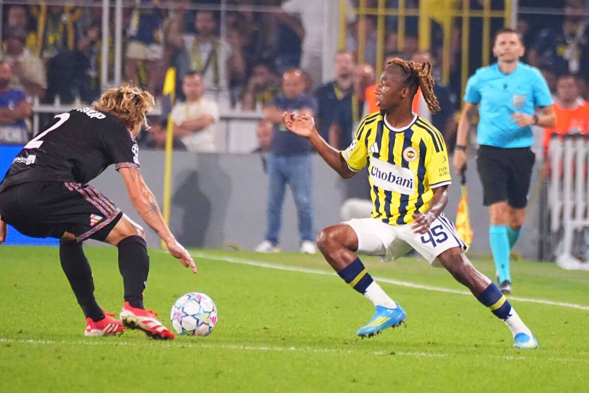 Fenerbahče - Lion