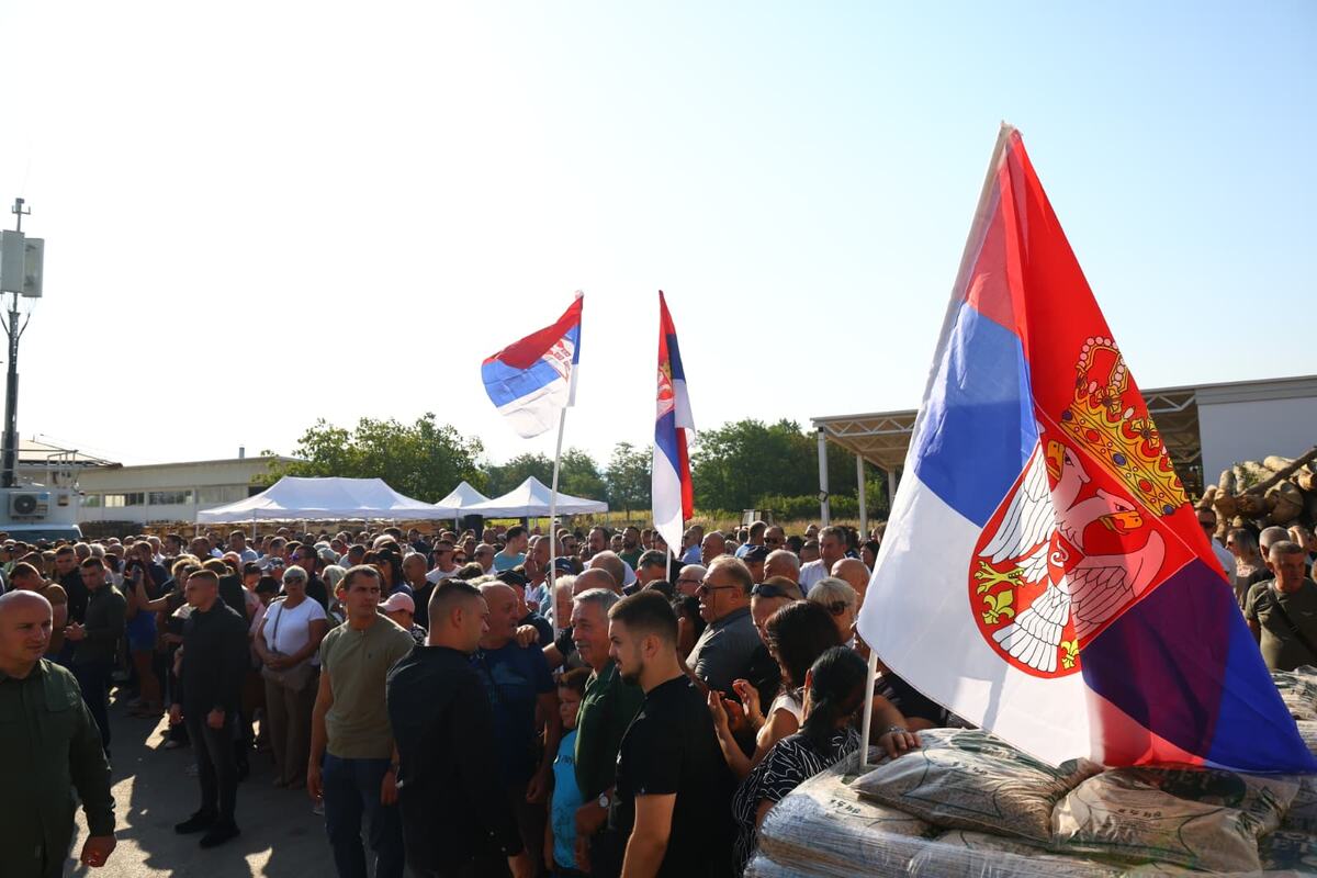 Viktor Pelet Guberevac (1).jpeg