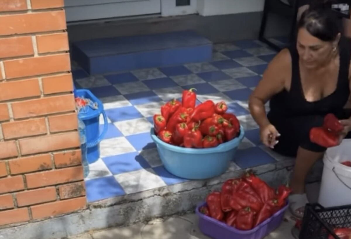 Slika zaslona 2026-08-22 u 11.42.27.png