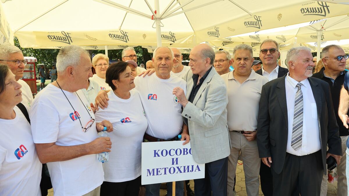 Milan Krkobabić Niš (6).JPG