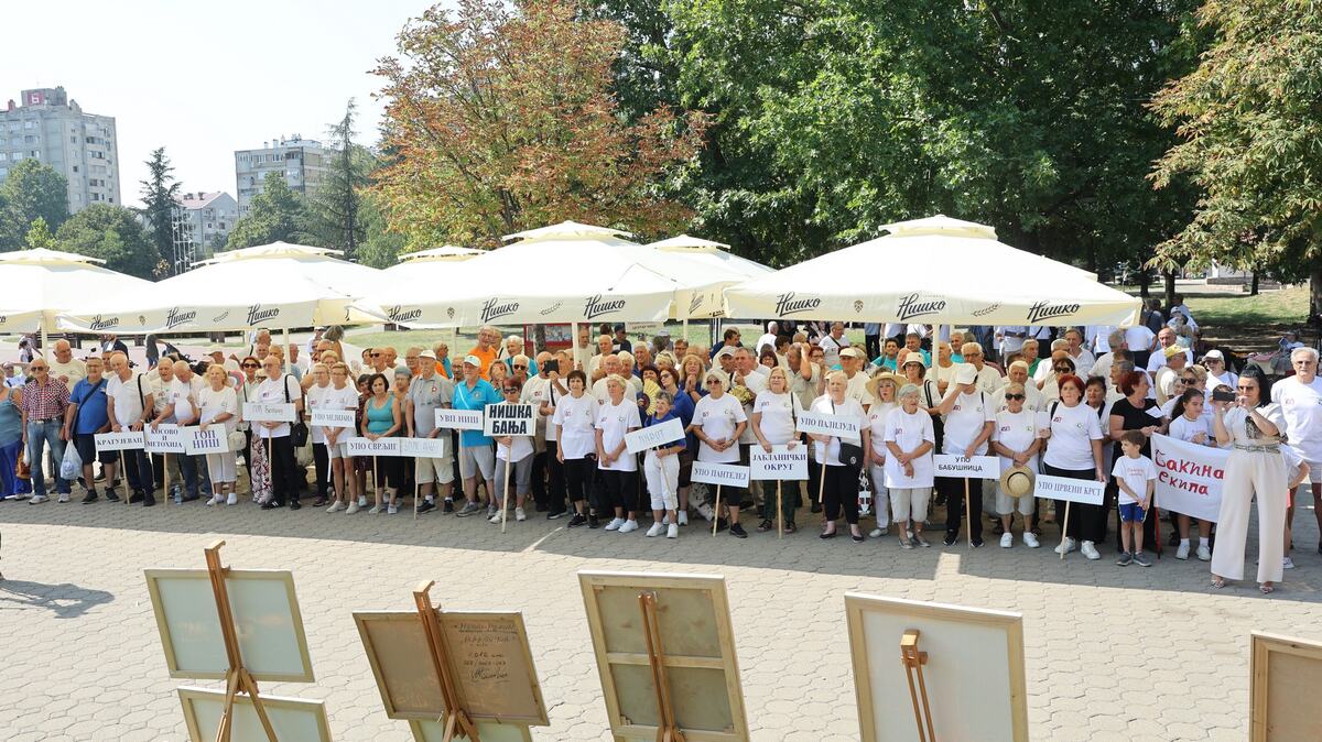 Milan Krkobabić Niš (15).JPG