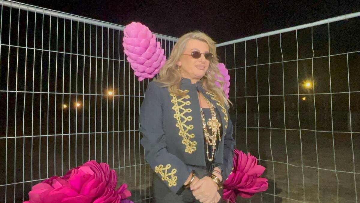 Festival Dragi Bravo.jpeg