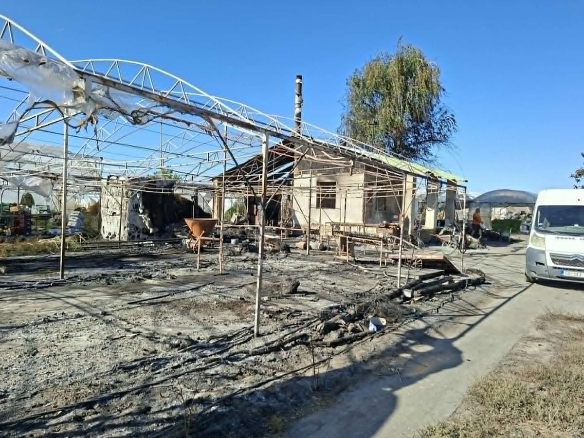 Apatin Plastenici (14).jpg