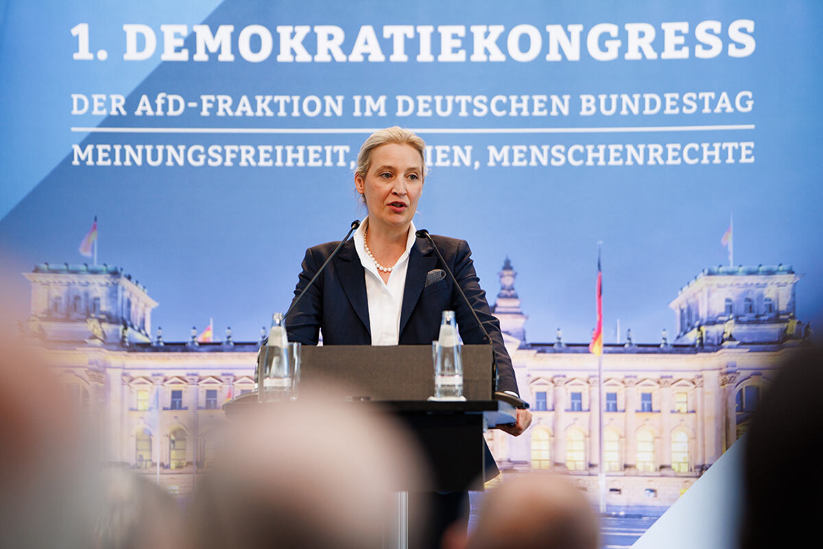 Alis Vajdel AFD Nemčka (2).jpg