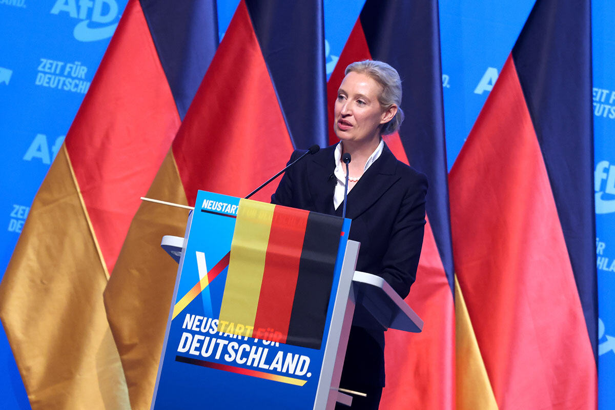 Alis Vajdel AFD Nemčka (1).jpg