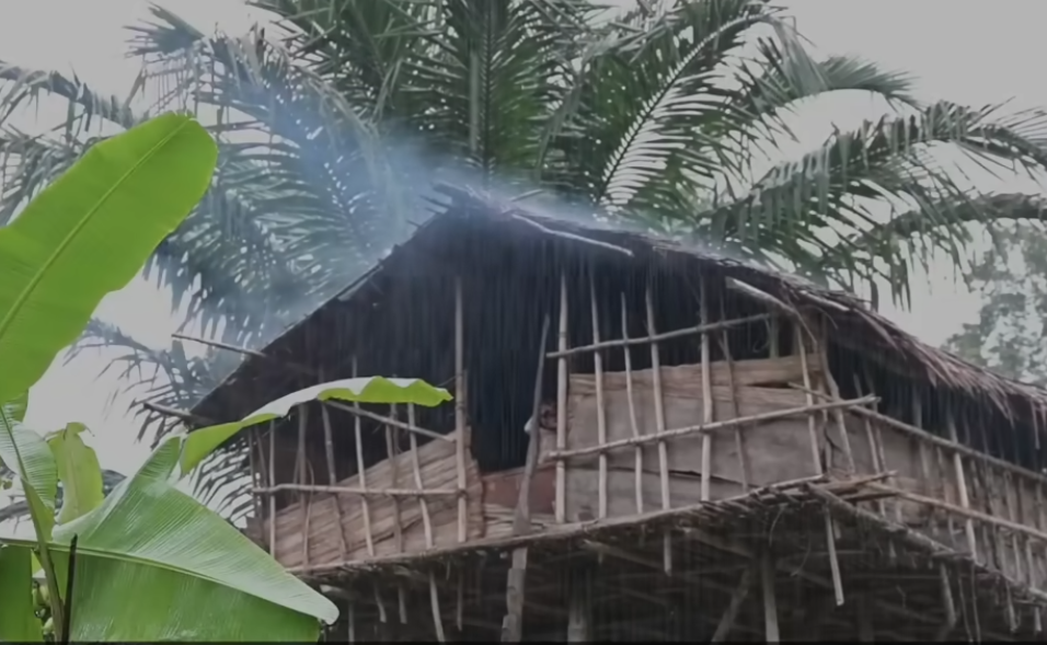 Papua Nova Gvineja, pleme