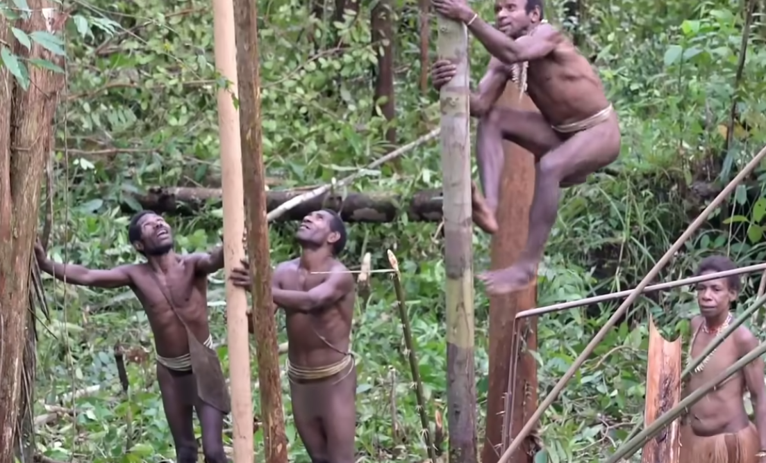 Papua Nova Gvineja, pleme