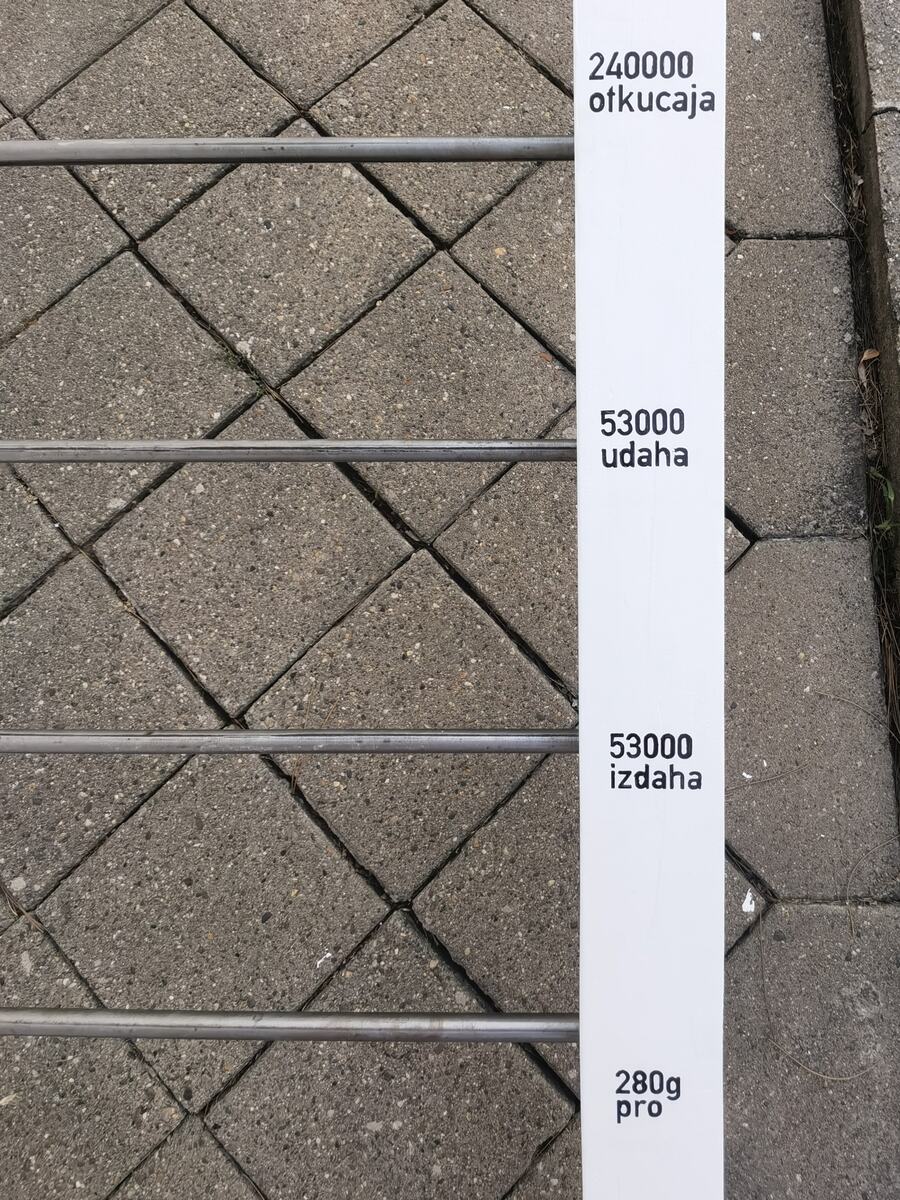 Tanja Juričan, Brojanica, iz serije Strategije odbrane, objekat (drveni ram, silikon, suvo kukuruzno zrno)
