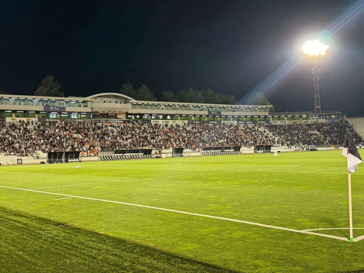 Grobari