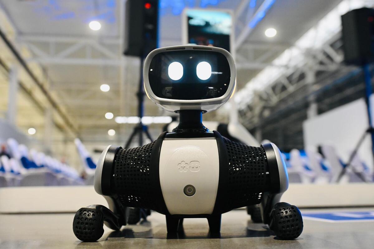 fabrika humanoidnih robota kompanija Minth  Šapac (6).jpeg