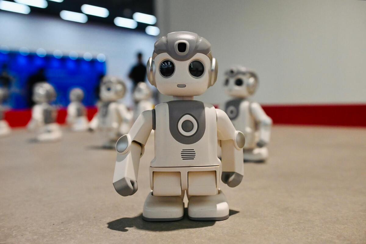 fabrika humanoidnih robota kompanija Minth  Šapac (10).jpeg