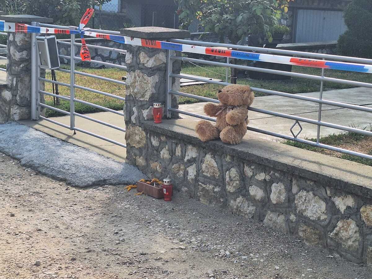 Veliko Gradište, dvostruko ubistvo i samoubistvo (2).jpeg