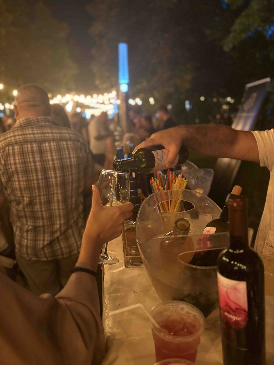 Gradski park Sremska  Mitrovica deveti Gastro-vinski festival Vinski park (2).jpg