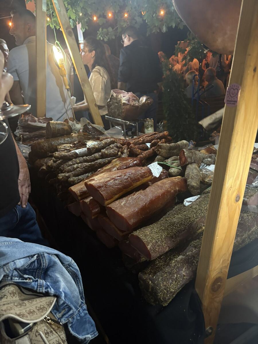 Gradski park Sremska  Mitrovica deveti Gastro-vinski festival Vinski park (7).jpg