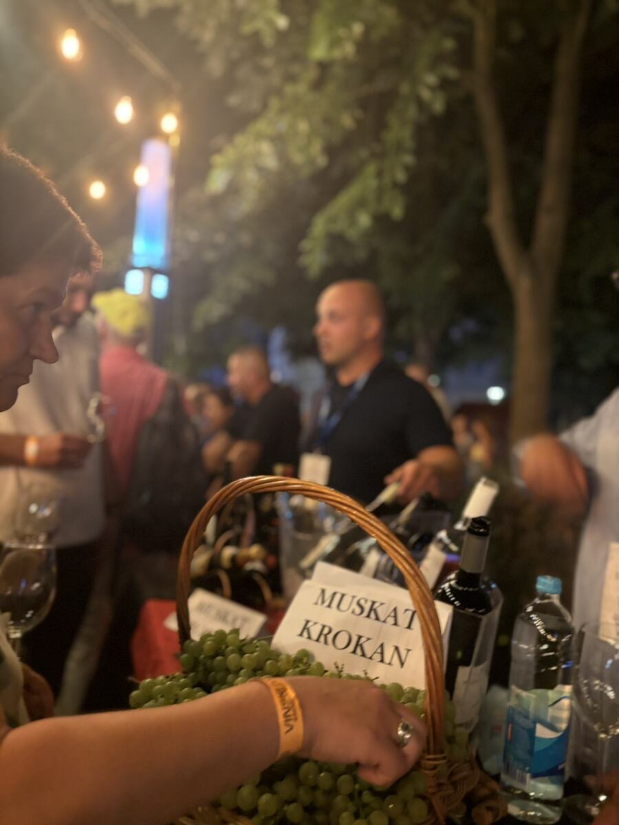 Gradski park Sremska  Mitrovica deveti Gastro-vinski festival Vinski park (9).jpg