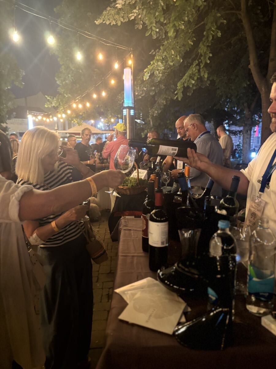 Gradski park Sremska  Mitrovica deveti Gastro-vinski festival Vinski park (10).jpg