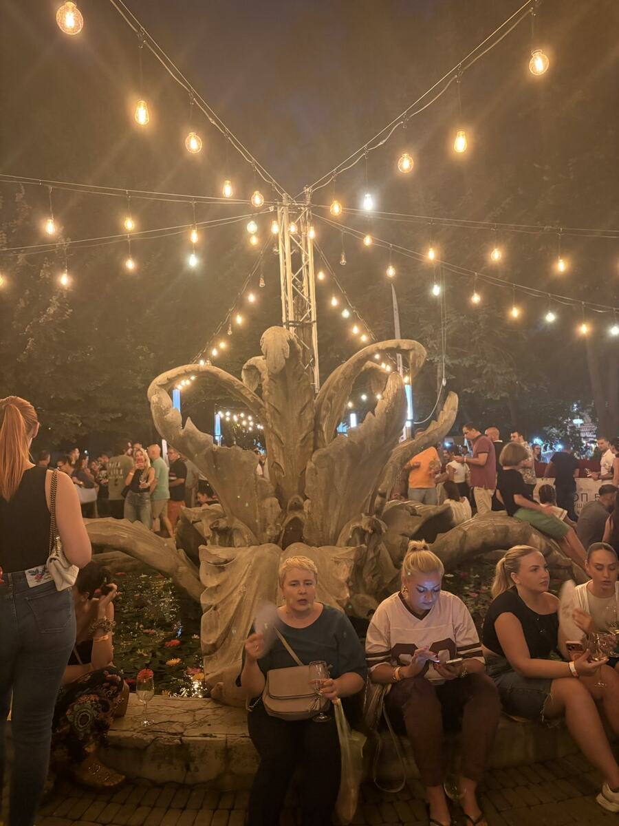 Gradski park Sremska  Mitrovica deveti Gastro-vinski festival Vinski park (11).jpg