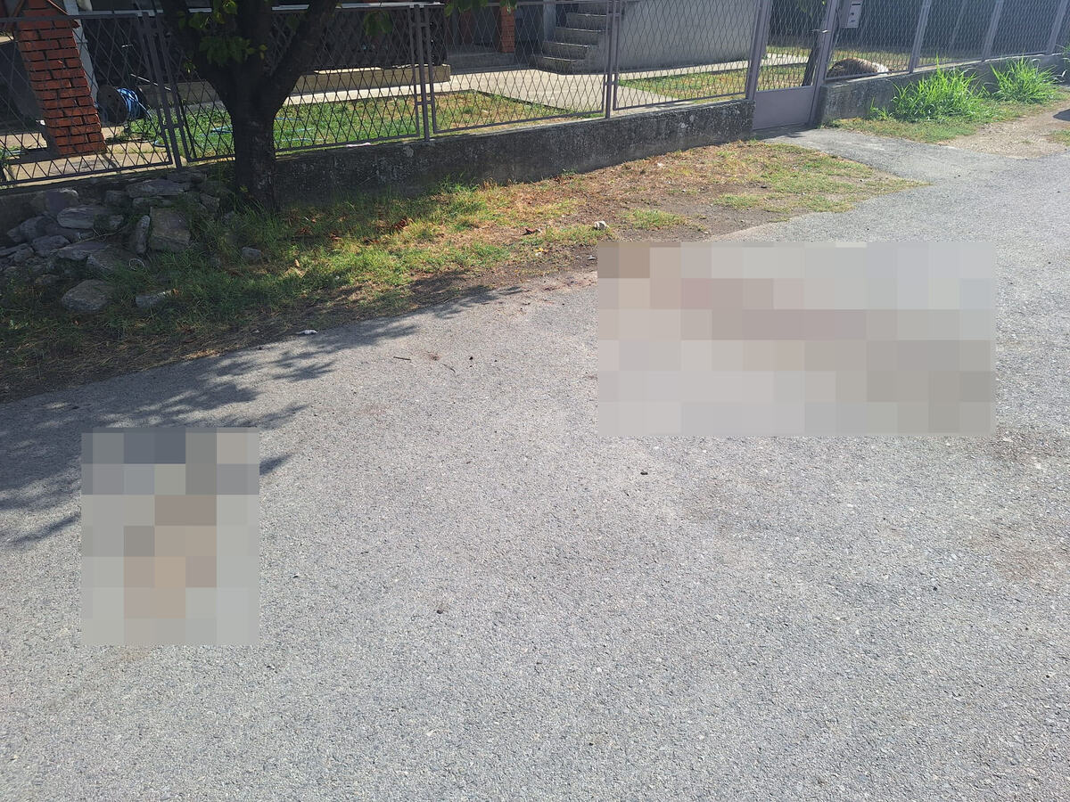 Veliko Gradište dvostruko ubistvo samoubistvo mesto zločina