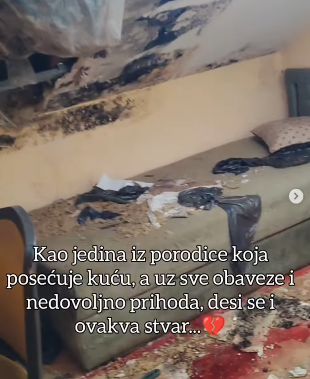 Iskra Brajović sređuje porodičnu kuću i imanje koje je nasledila od dede (2).PNG
