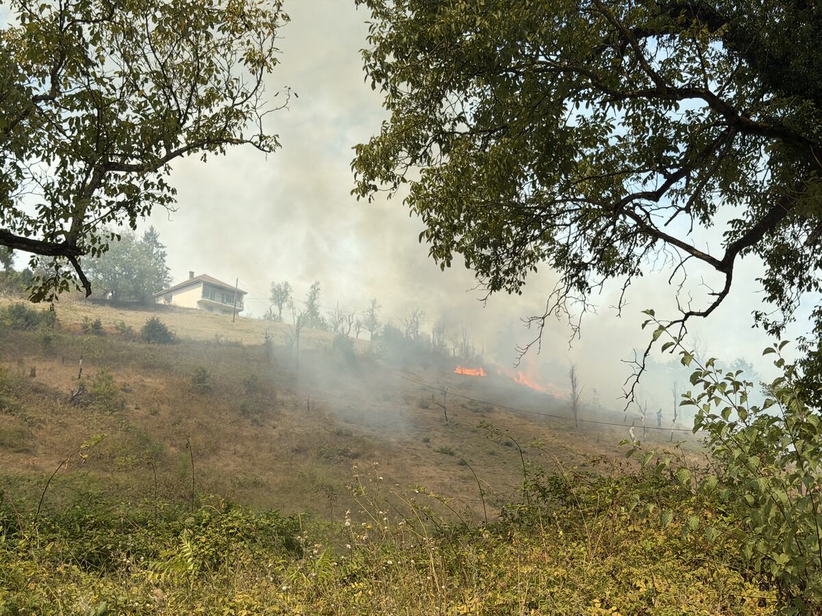 požar Foča mesto Handići (5).jpeg