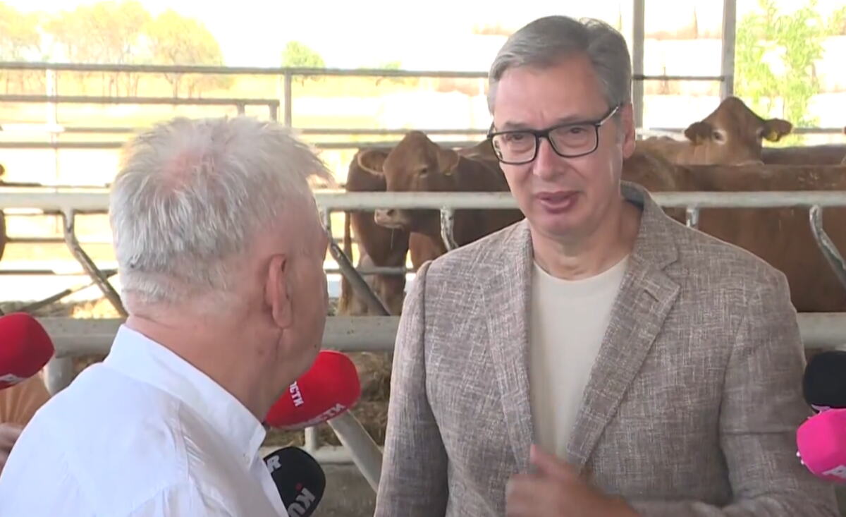 Aleksandar Vučić (1).png