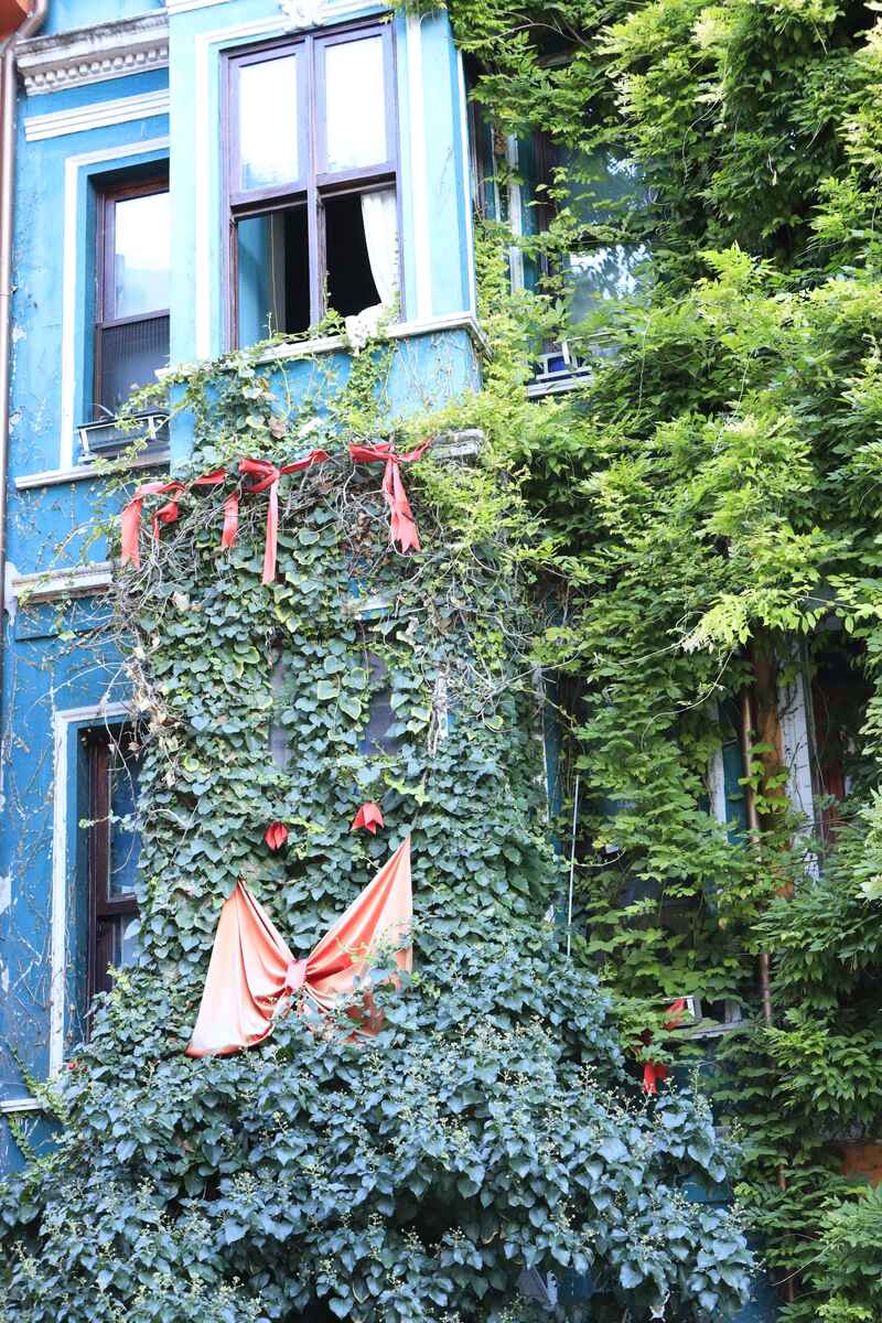 Balat i Fener Istanbul