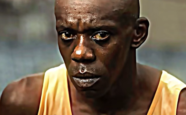 Režis Pitbul